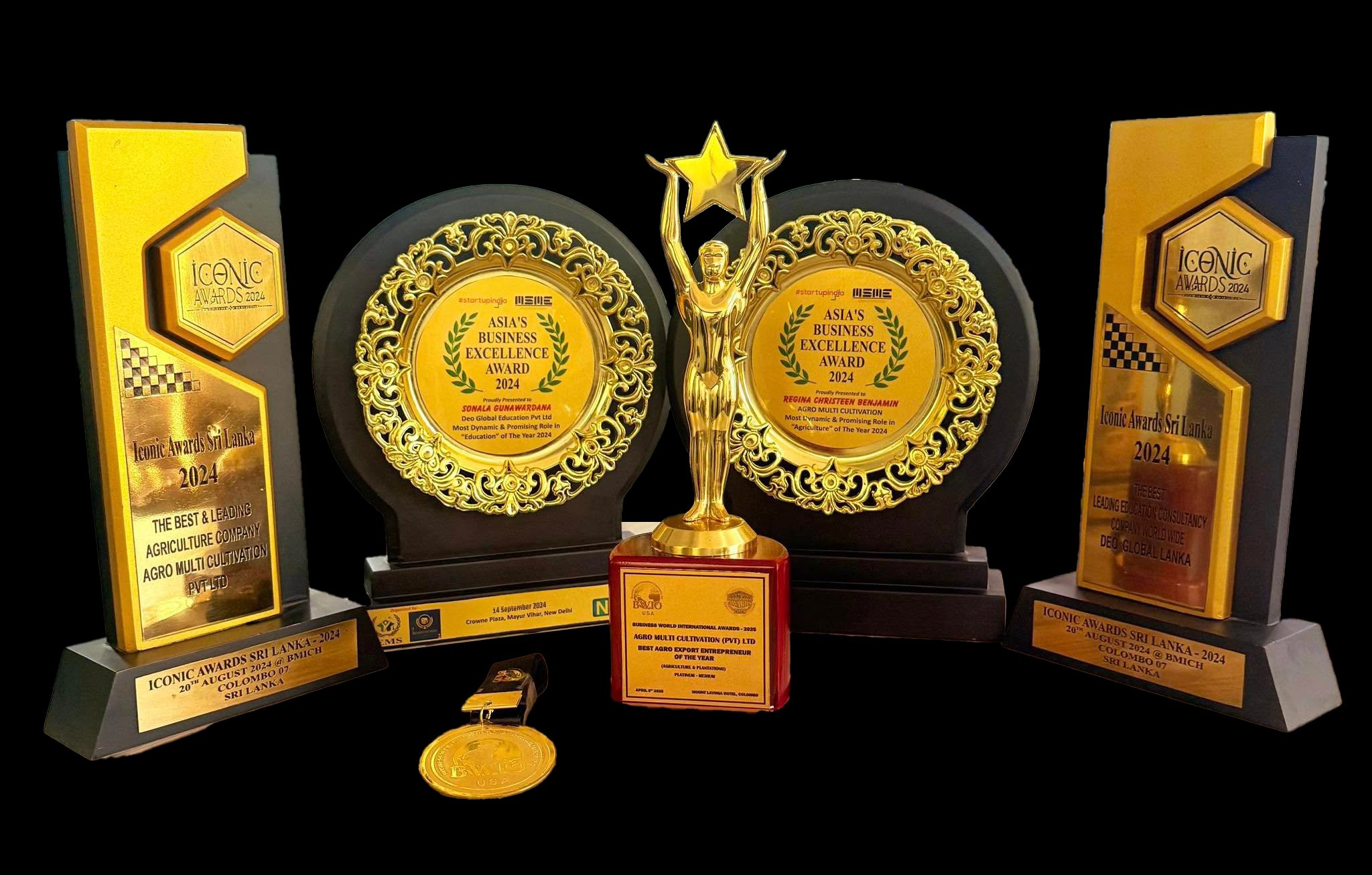AMC Awards