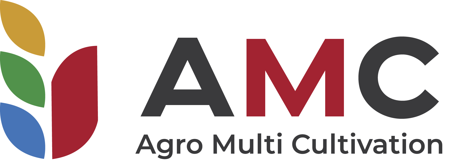 AMC